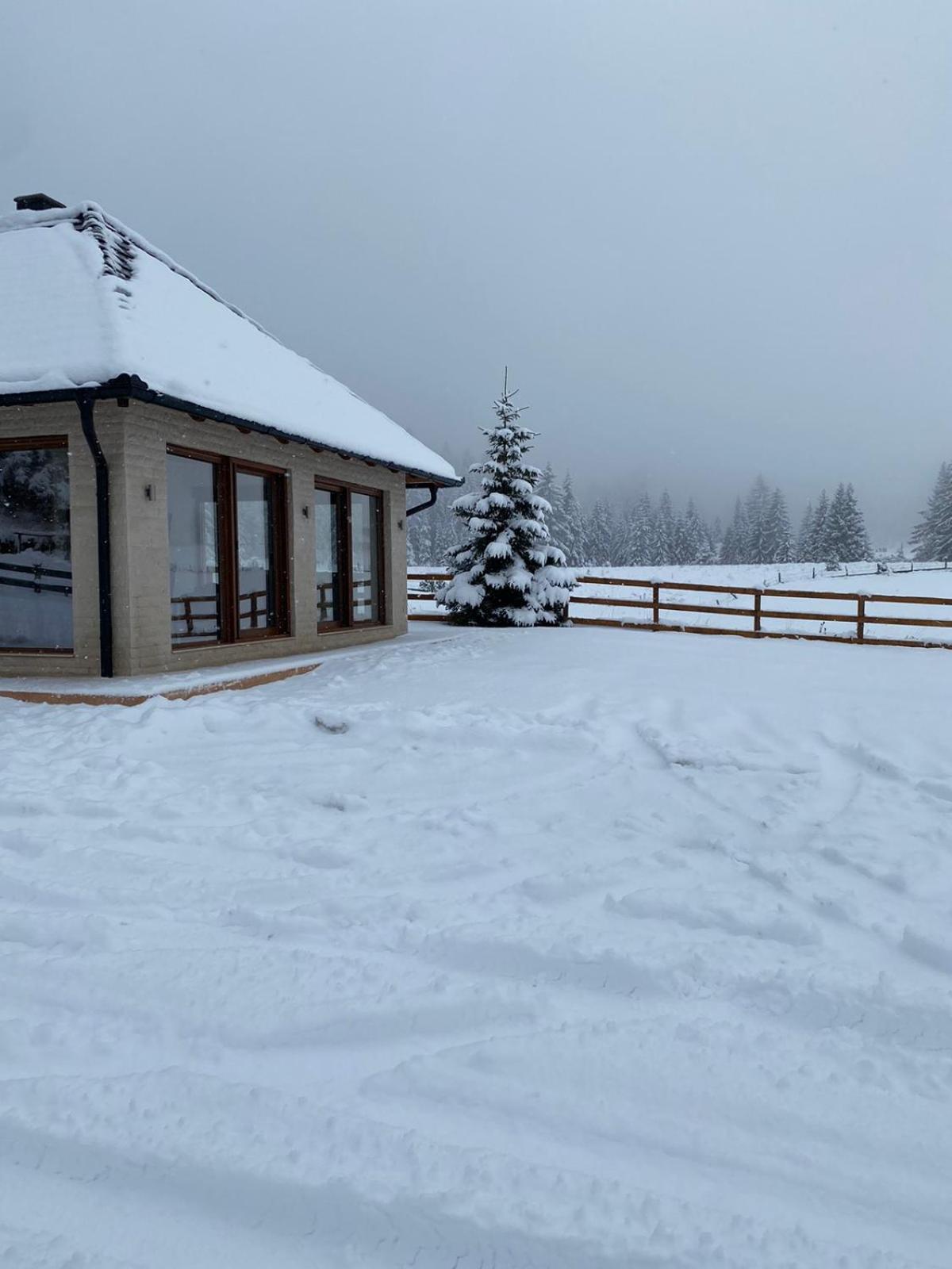 米特洛瓦克Vikendica Krlic别墅 外观 照片